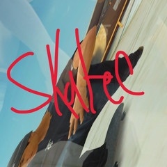 skatee (votekk skunc)