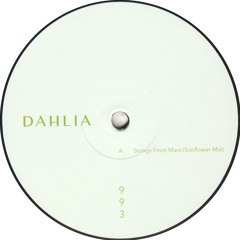 S.A.M. - DAHLIA 993 (DAHLIA993)