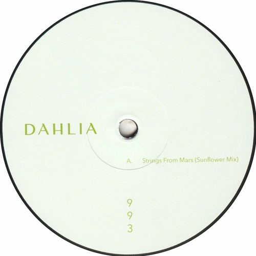 S.A.M. - DAHLIA 993 (DAHLIA993)