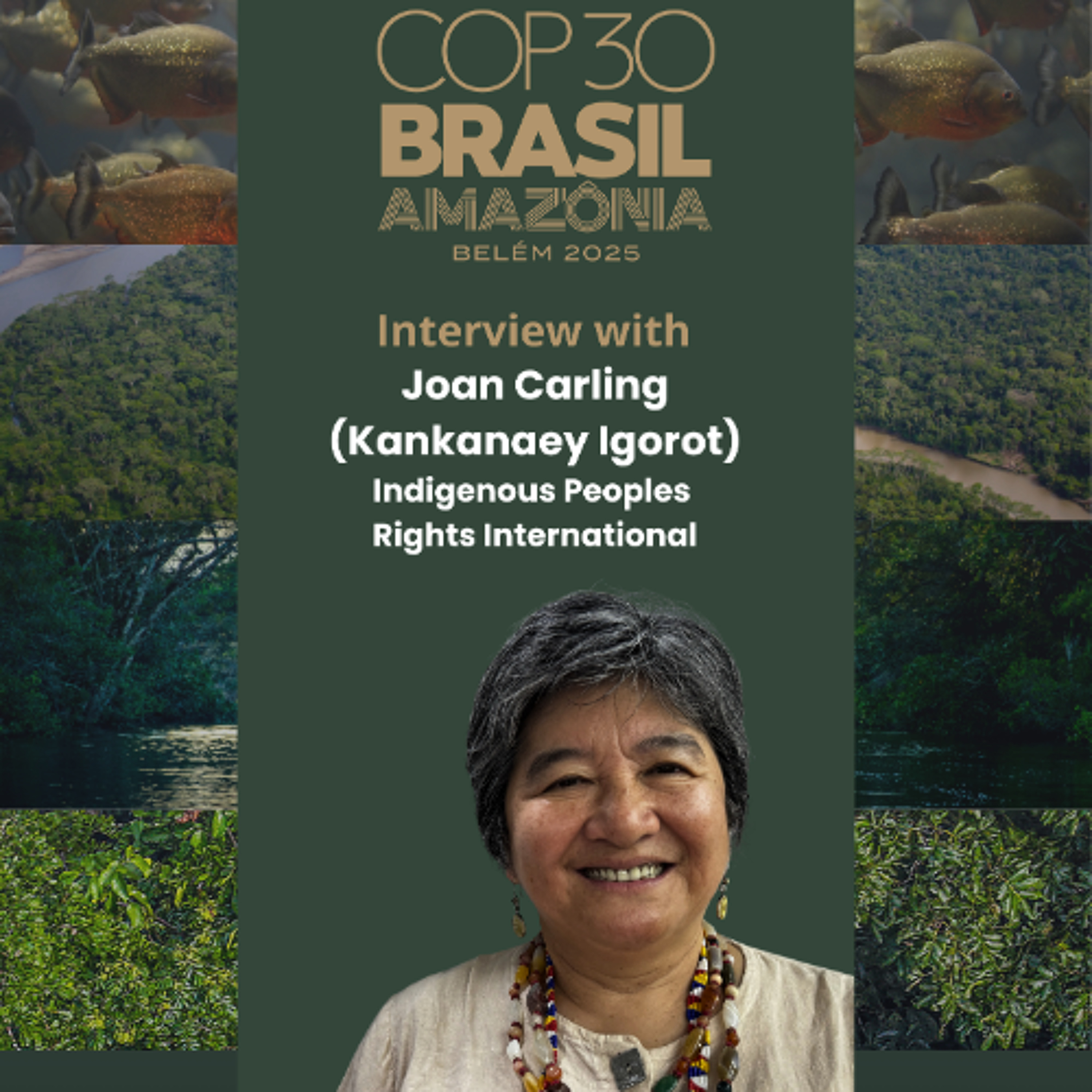 COP30 - Governments Must Honor Their Commitments - Joan Carling