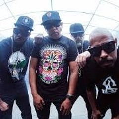 Cypress Hill - Insane the brain ( Bass House Remix )
