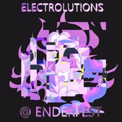 ELECTROLUTIONS @ ENDERFEST