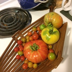 Insoluble Vs. Soluble Fiber