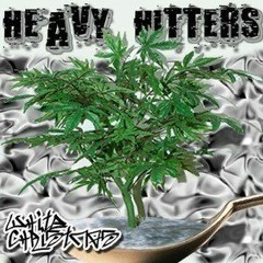 Hands Up- VTown Heavy Hitters (Mcg, Woodini)