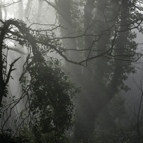 EMPTY (ft.Felony Fey)