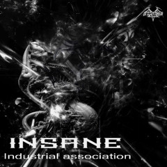 InSane - Industrial Association (SXPS016)
