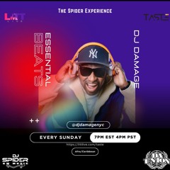 Dj Damage Live On Dj Spider Essential Beats On Taste Radio Litt Live 8-18-2024
