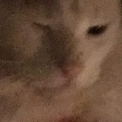 no se si estaba subido