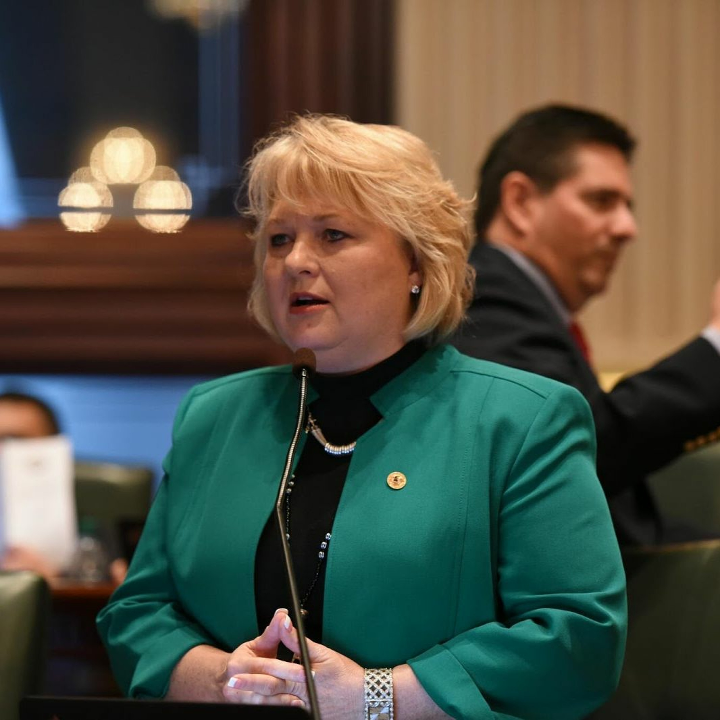 Sen. Terri Bryant - Mother's Day Diaper Driver - April 30, 2024 episode artwork