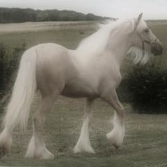 WARHORSE WEEKEND (LEAK)