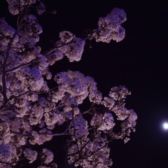 Stuck On You(demo version)by Brian Loring ft. Taylor Reese