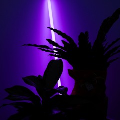 Interplanetary Dance