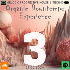 Organic Downtempo Experience 3 Deep Chill Ethno Afro Melodic Progressive House Techno Electronic DJ