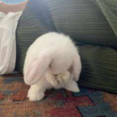 пополам + qw1ax (p/ demakroys, uppertovv)