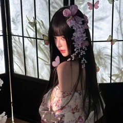 Xuân Đình Tuyết - VH Remix