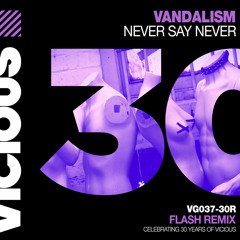 Never Say Never (Flash Remix)