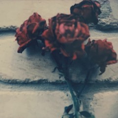 Dying In Your Arms