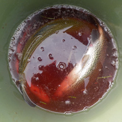 Emphysema gets the best of us