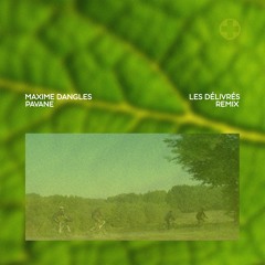 TRACK PREMIERE : Maxime Dangles - Operate (Pavane Remix)
