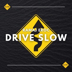 DRIVE SLOW (prod. maxrxgh)