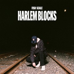 Fish Scale - Harlem Blocks