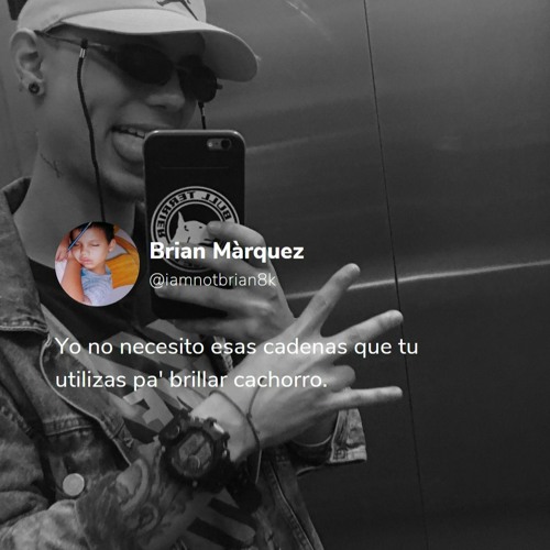 bienvenido visual data 2