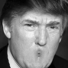 Les trumps de Fallope