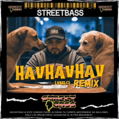 LVBEL-HAVHAVHAV (Streetbass Remix)