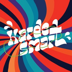 Harde Smart - 60's Smart at We Are Various | 27-10-22