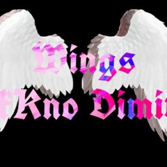 Wings TekkKno DimitriE (Hardtekk Remix)