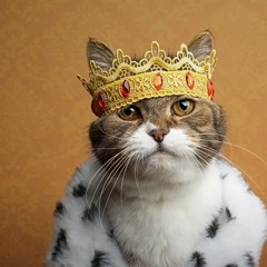 C'est-que- je-peux-donné mp3