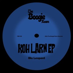 Premiere: Blu Leopard - D.M.T | The Boogie Room
