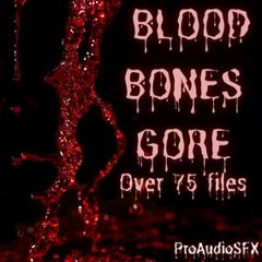 Blood And Bones Demo Track
