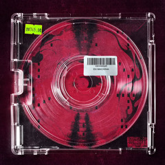 LADIESMAN x NORAA - BASS SLUT [TRANSIENT99]