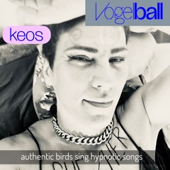 A hypnotic birdsong at »Vogelball«