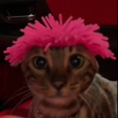 Doing my dance x head to my toes