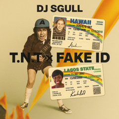 T.N.T X fake ID (Dj SGULL Mashup)