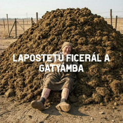 Schranzos Tetű Ficered A Gatyámba
