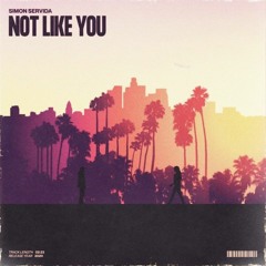 Simon Servida - Not Like You