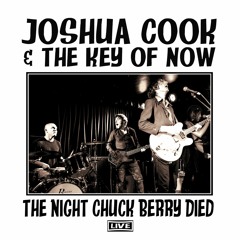 Look What She Done to Me (live)