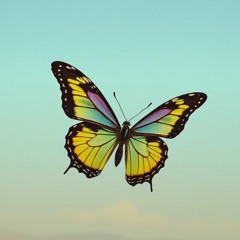 Butterfly Bella