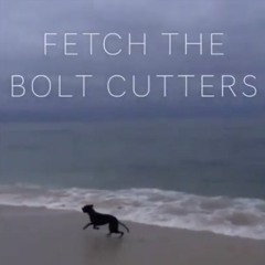 Fiona Apple - Fetch the Bolt Cutters