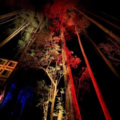 Abracadabra Festival '24 | Sat Night 2 - 4am | Ponderosa Stage