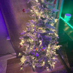 mistletoe, roah