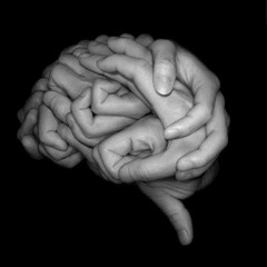 Brainsonaroad (@8oray)