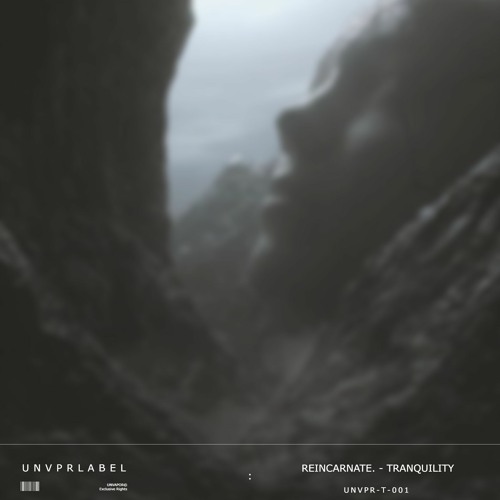 REINCARNATE. - TRANQUILITY [UNVAPOR EXCLUSIVE]