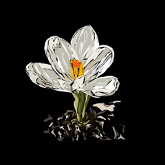8 Hr Chimes Empowerment Meditation Subliminal Audio