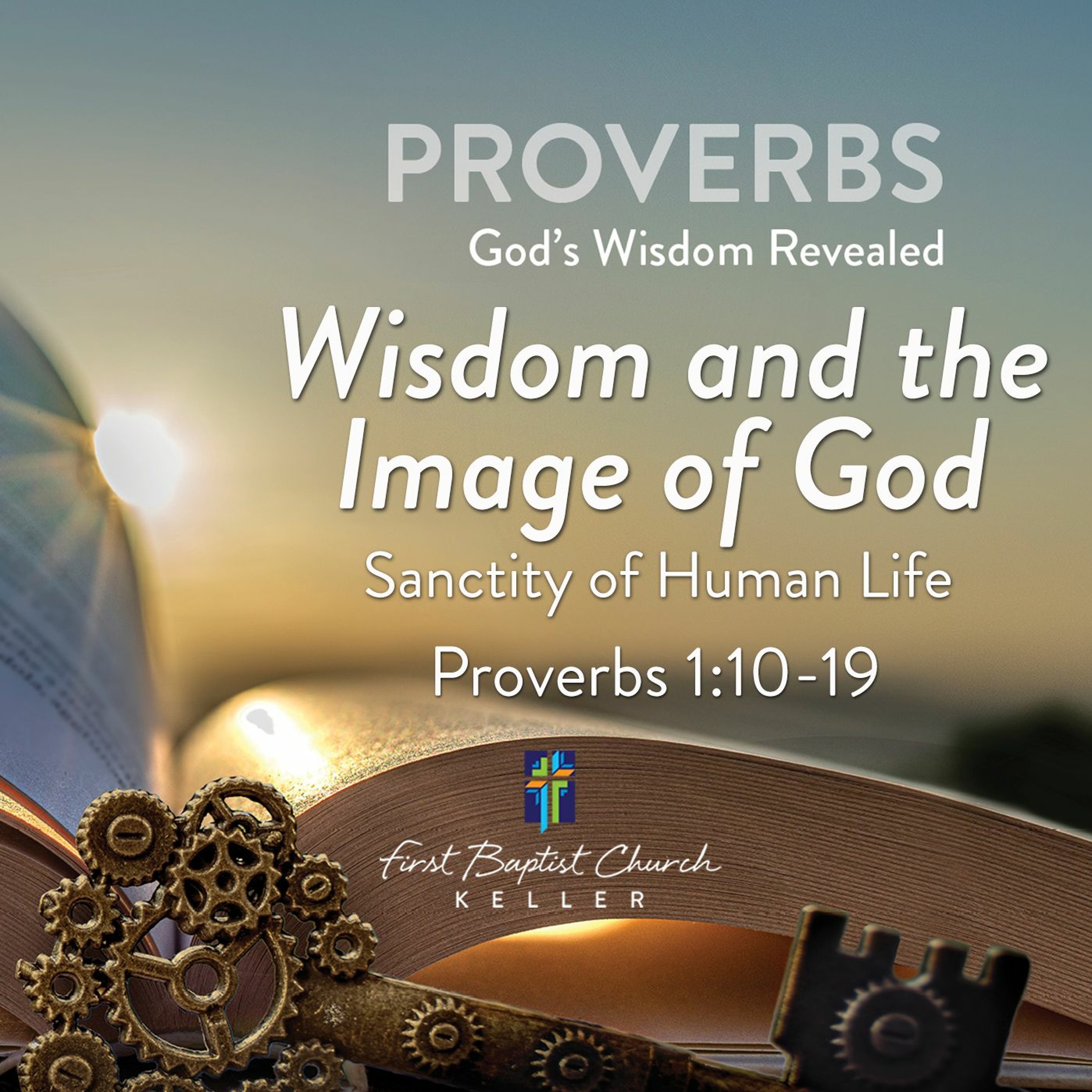 Wisdom-Image of God_07-11-21 episode artwork