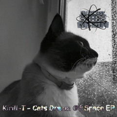 Fly To Space (Vip Mix)