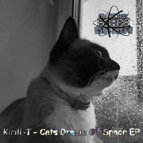 Fly To Space (Vip Mix)